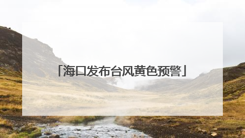 海口发布台风黄色预警