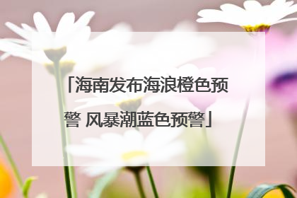 海南发布海浪橙色预警 风暴潮蓝色预警