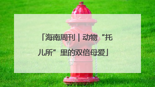 海南周刊｜动物“托儿所”里的双倍母爱