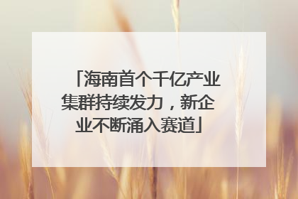 海南首个千亿产业集群持续发力，新企业不断涌入赛道