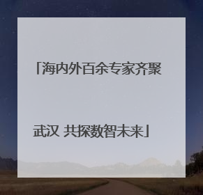 海内外百余专家齐聚武汉 共探数智未来