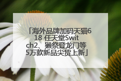 海外品牌加码天猫618 任天堂Switch2、獭祭登龙门等5万款新品尖货上新