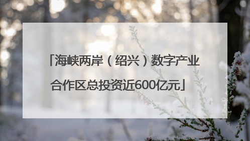 海峡两岸（绍兴）数字产业合作区总投资近600亿元