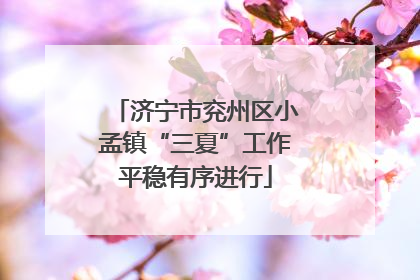济宁市兖州区小孟镇“三夏”工作平稳有序进行
