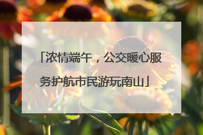 浓情端午，公交暖心服务护航市民游玩南山
