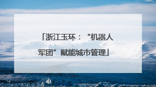 浙江玉环：“机器人军团”赋能城市管理