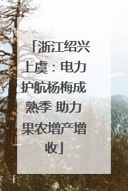 浙江绍兴上虞：电力护航杨梅成熟季 助力果农增产增收