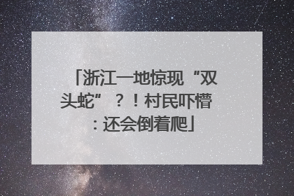 浙江一地惊现“双头蛇”？！村民吓懵：还会倒着爬