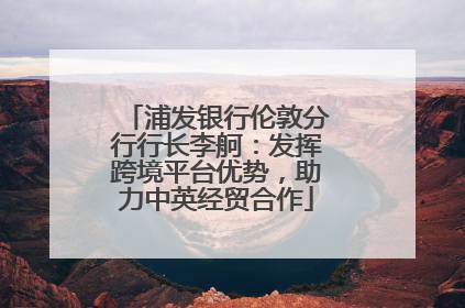 浦发银行伦敦分行行长李舸：发挥跨境平台优势，助力中英经贸合作