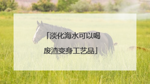 淡化海水可以喝 废渣变身工艺品