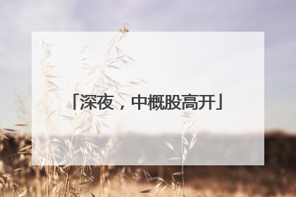 深夜，中概股高开
