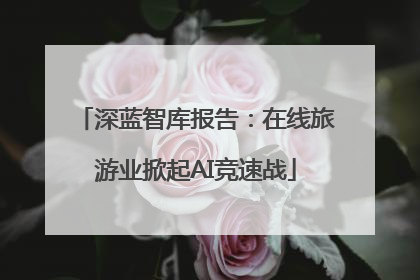 深蓝智库报告：在线旅游业掀起AI竞速战