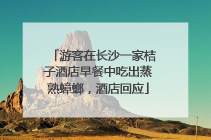 游客在长沙一家桔子酒店早餐中吃出蒸熟蟑螂，酒店回应