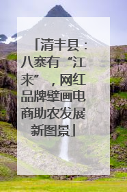 清丰县：八寨有“江来”，网红品牌擘画电商助农发展新图景