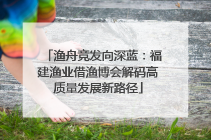 渔舟竞发向深蓝：福建渔业借渔博会解码高质量发展新路径