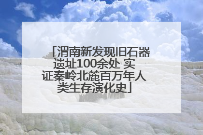 渭南新发现旧石器遗址100余处 实证秦岭北麓百万年人类生存演化史