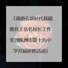 湖南省新时代基础教育王岳名校长工作室到株洲市第十九中学开展研修活动