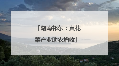 湖南祁东：黄花菜产业助农增收