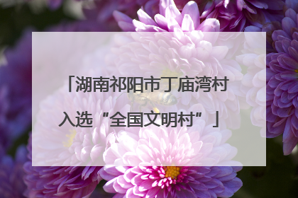 湖南祁阳市丁庙湾村入选“全国文明村”