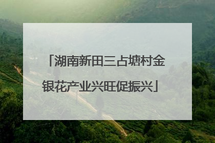 湖南新田三占塘村金银花产业兴旺促振兴