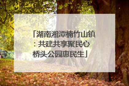 湖南湘潭楠竹山镇：共建共享聚民心 桥头公园惠民生