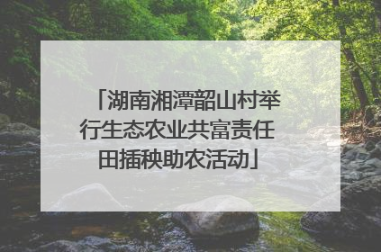 湖南湘潭韶山村举行生态农业共富责任田插秧助农活动