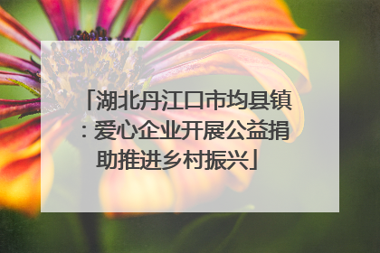 湖北丹江口市均县镇：爱心企业开展公益捐助推进乡村振兴