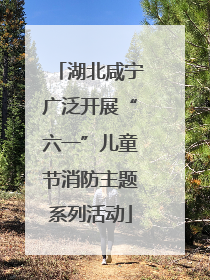 湖北咸宁广泛开展“六一”儿童节消防主题系列活动