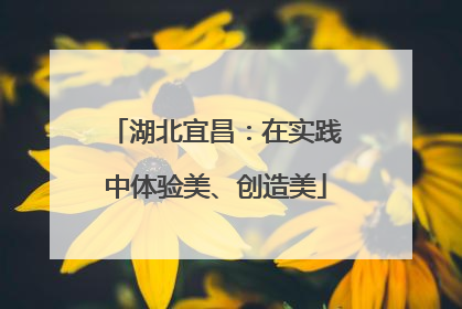 湖北宜昌：在实践中体验美、创造美