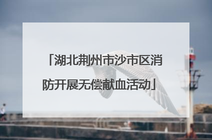 湖北荆州市沙市区消防开展无偿献血活动