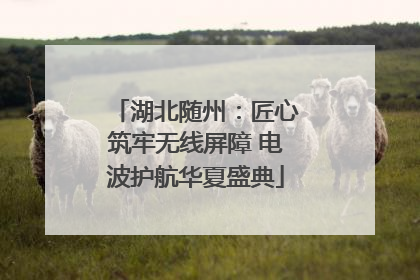湖北随州：匠心筑牢无线屏障 电波护航华夏盛典
