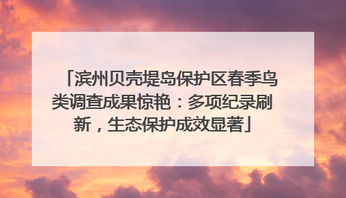 滨州贝壳堤岛保护区春季鸟类调查成果惊艳：多项纪录刷新，生态保护成效显著