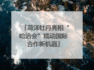 菏泽牡丹亮相“哈洽会”撬动国际合作新机遇