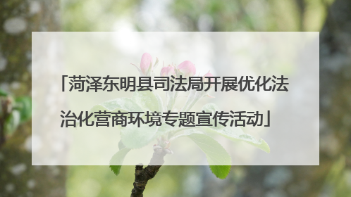 菏泽东明县司法局开展优化法治化营商环境专题宣传活动