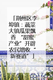 荆州区李埠镇：蔬菜大镇瓜果飘香 “甜蜜产业”开辟农民增收“新赛道”