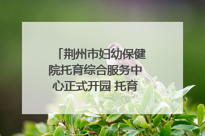 荆州市妇幼保健院托育综合服务中心正式开园 托育宣传月同步启动