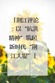 荆江评论：以“抗洪精神”筑起新时代“荆江大堤”