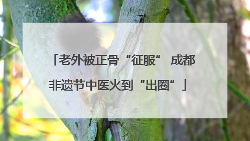 老外被正骨“征服” 成都非遗节中医火到“出圈”