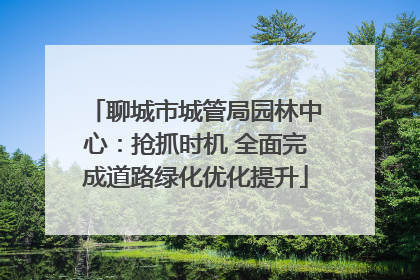 聊城市城管局园林中心：抢抓时机 全面完成道路绿化优化提升