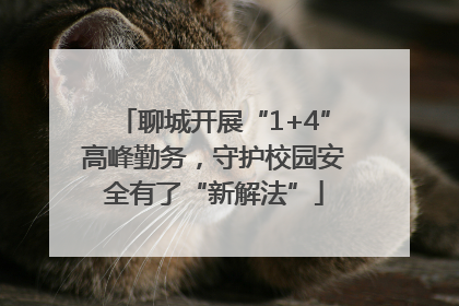 聊城开展“1+4”高峰勤务，守护校园安全有了“新解法”