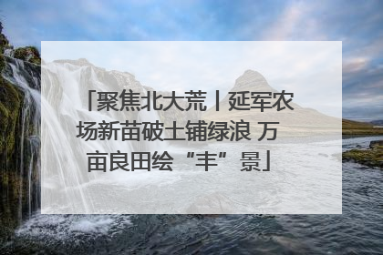 聚焦北大荒丨延军农场新苗破土铺绿浪 万亩良田绘“丰”景