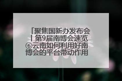 聚焦国新办发布会丨第9届南博会速览⑥云南如何利用好南博会的平台带动作用，深化与南亚国家的交流与合作？