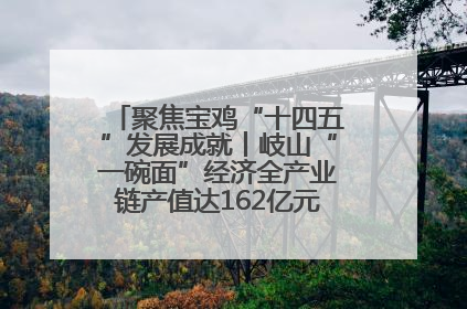 聚焦宝鸡“十四五”发展成就丨岐山“一碗面”经济全产业链产值达162亿元 入选全国典型县