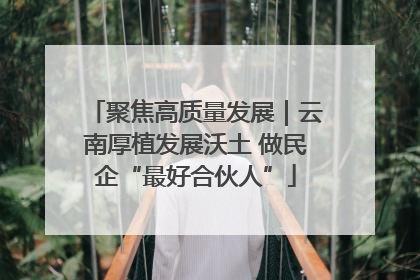 聚焦高质量发展｜云南厚植发展沃土 做民企“最好合伙人”