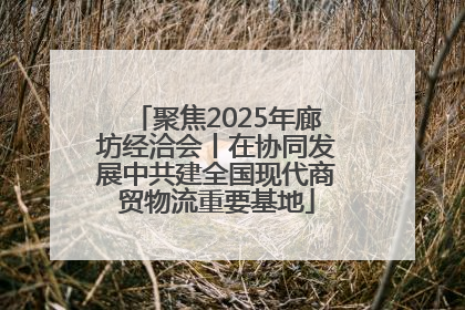 聚焦2025年廊坊经洽会丨在协同发展中共建全国现代商贸物流重要基地