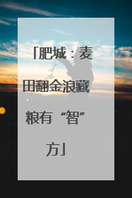 肥城：麦田翻金浪藏粮有“智”方