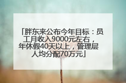 胖东来公布今年目标：员工月收入9000元左右，年休假40天以上，管理层人均分配70万元