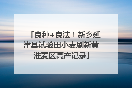 良种+良法！新乡延津县试验田小麦刷新黄淮麦区高产记录