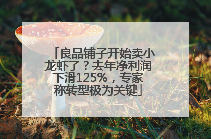 良品铺子开始卖小龙虾了?去年净利润下滑125%,专家称转型极为关键