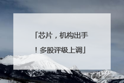 芯片，机构出手！多股评级上调